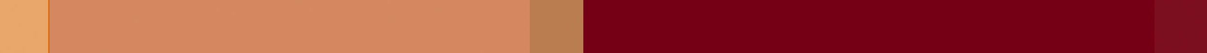 Color Line Progression from Coral to Maroon | Contact Neighborly Home Care for Elderly Care in Delaware County