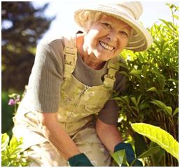 Home Care Outdoor Activities