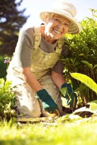 Springtime Activities for Seniors